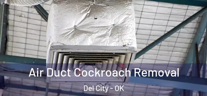  Air Duct Cockroach Removal Del City - OK