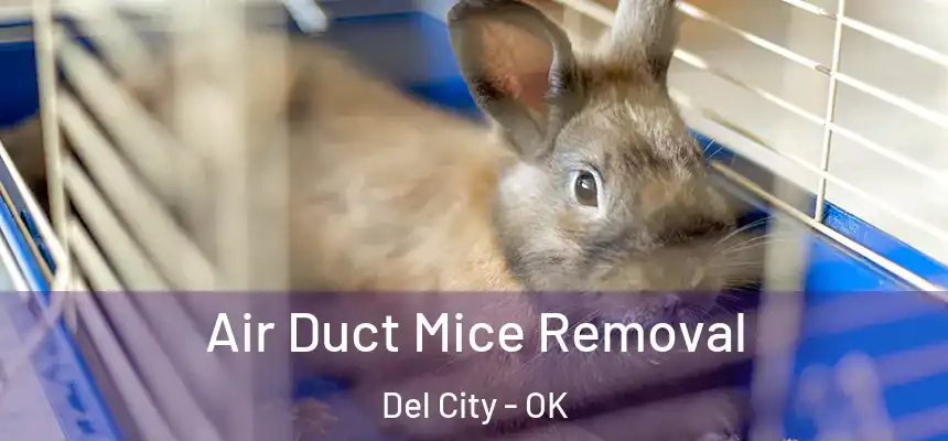 Air Duct Mice Removal Del City - OK