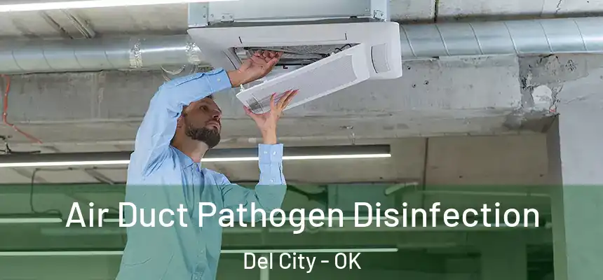  Air Duct Pathogen Disinfection Del City - OK