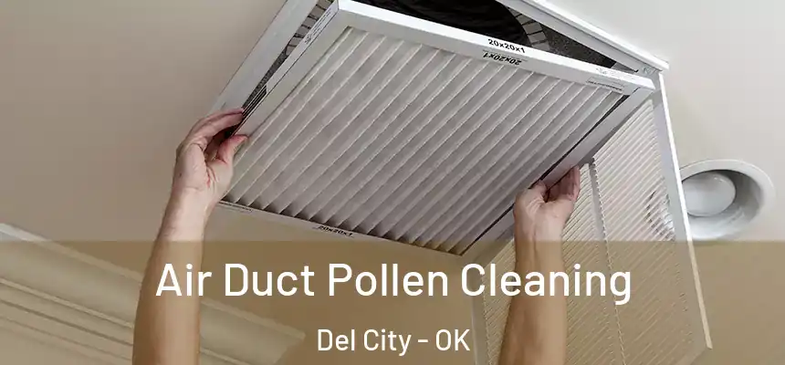 Air Duct Pollen Cleaning Del City - OK
