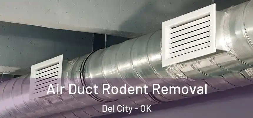  Air Duct Rodent Removal Del City - OK