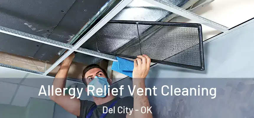  Allergy Relief Vent Cleaning Del City - OK