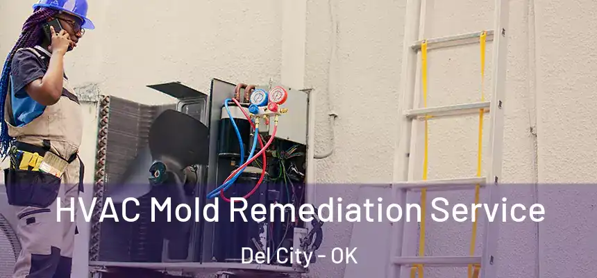  HVAC Mold Remediation Service Del City - OK