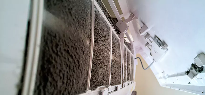 Preventive Air Duct Bacteria Removal in Del City