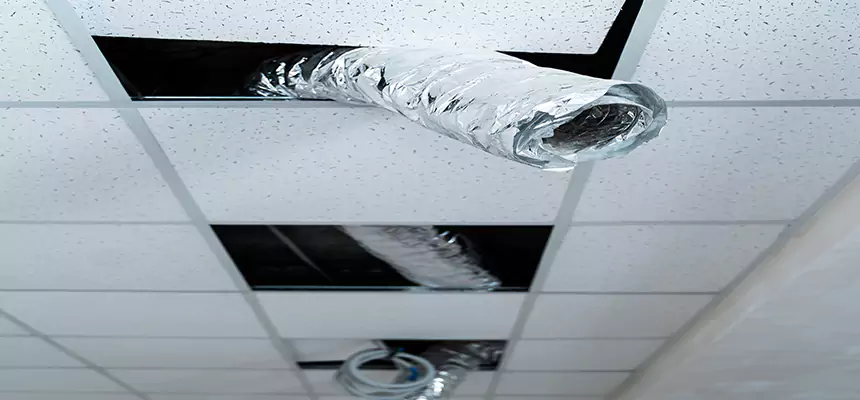 Affordable HVAC Sanitizing After Pest Removal in Del City